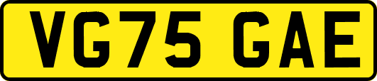 VG75GAE