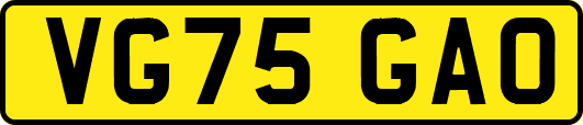 VG75GAO