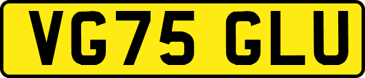 VG75GLU