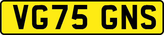 VG75GNS