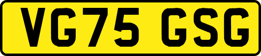 VG75GSG