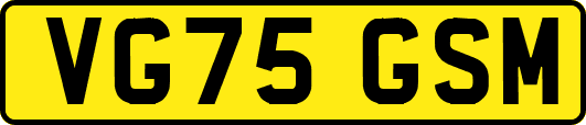 VG75GSM