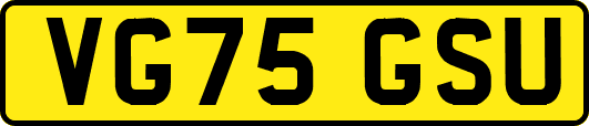 VG75GSU