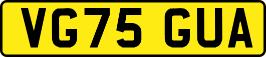 VG75GUA