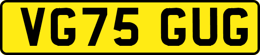 VG75GUG