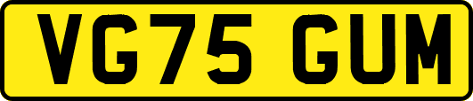 VG75GUM