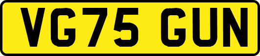 VG75GUN