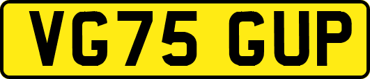 VG75GUP