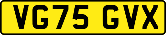 VG75GVX