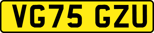 VG75GZU