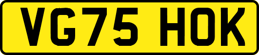 VG75HOK