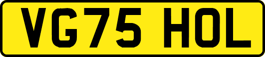 VG75HOL