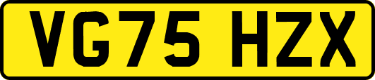 VG75HZX
