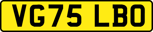 VG75LBO