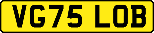 VG75LOB