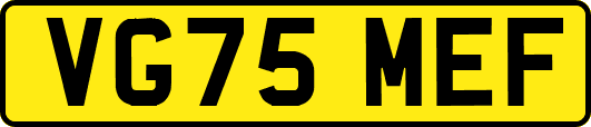 VG75MEF