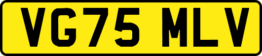VG75MLV