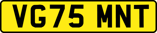 VG75MNT