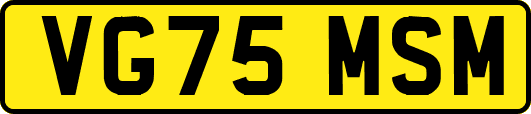 VG75MSM