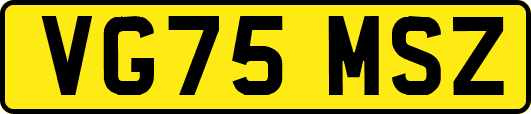 VG75MSZ