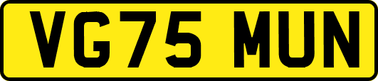 VG75MUN