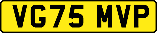 VG75MVP