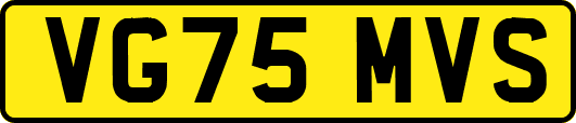 VG75MVS