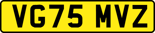 VG75MVZ