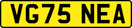 VG75NEA