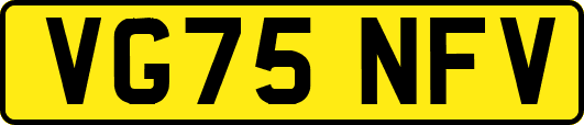 VG75NFV