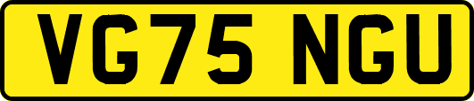 VG75NGU