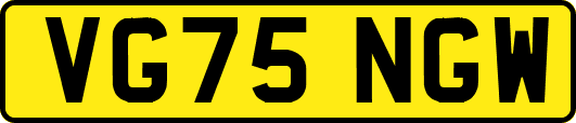 VG75NGW