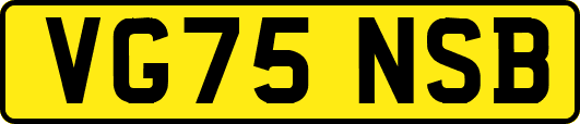 VG75NSB