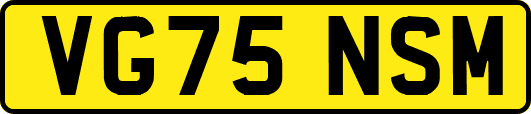 VG75NSM