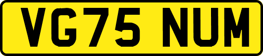 VG75NUM