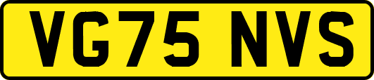 VG75NVS