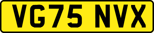 VG75NVX