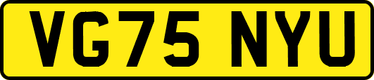 VG75NYU