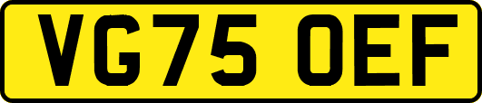 VG75OEF