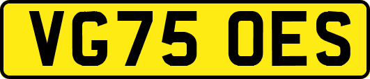 VG75OES