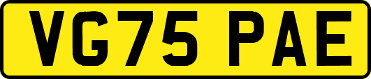 VG75PAE