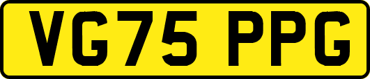 VG75PPG