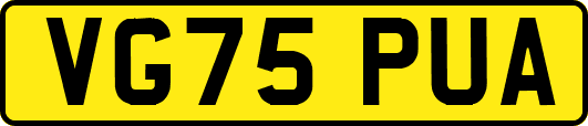 VG75PUA