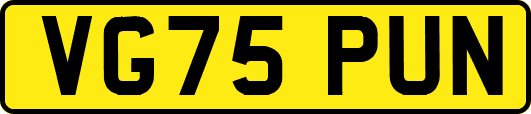 VG75PUN