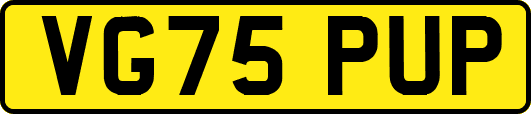 VG75PUP
