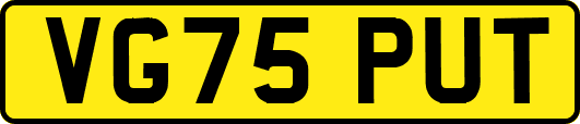 VG75PUT