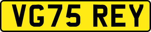 VG75REY
