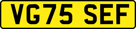 VG75SEF
