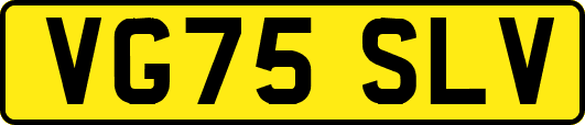 VG75SLV