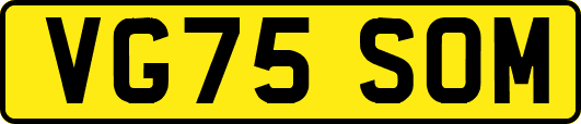 VG75SOM